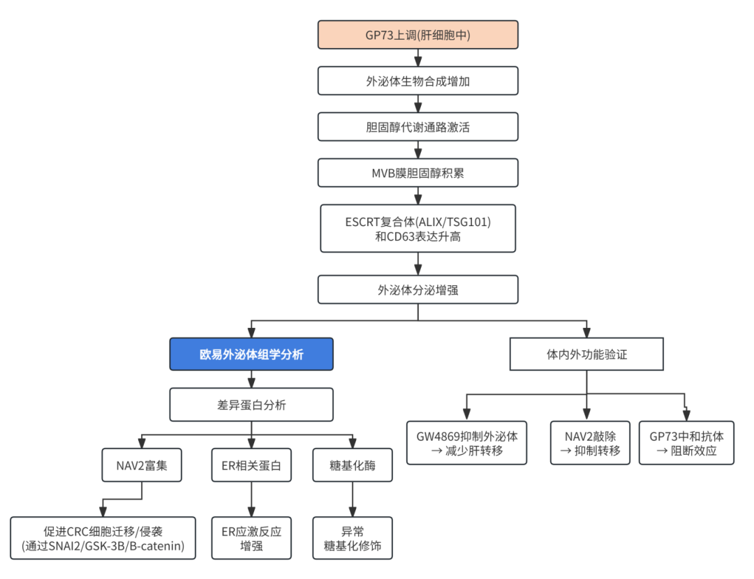 未命名文件(2).png