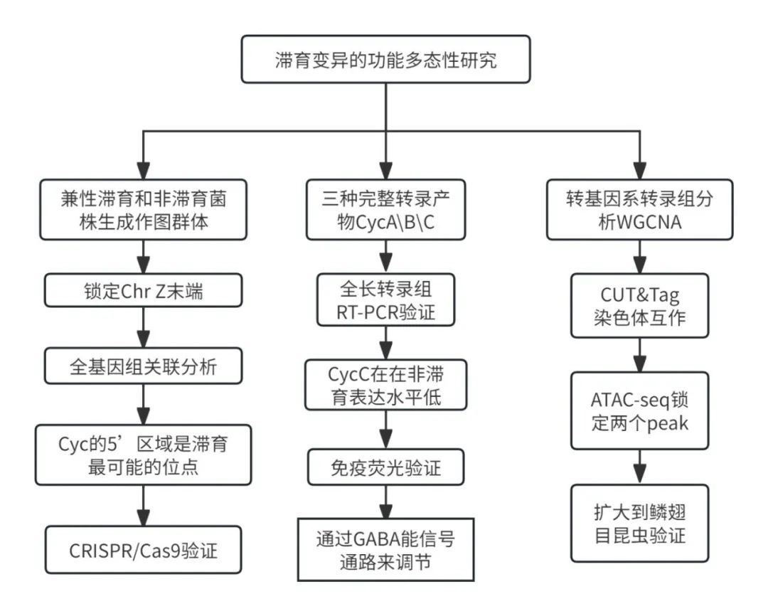 流程图1.jpg