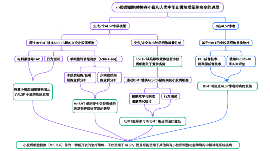 技术路线图.png