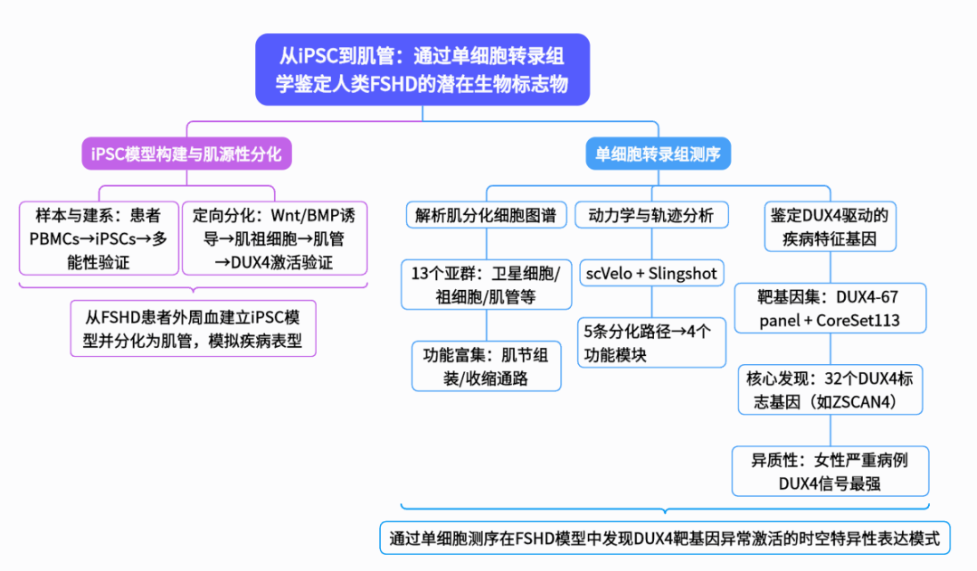 企业微信截图_17573819973359.png