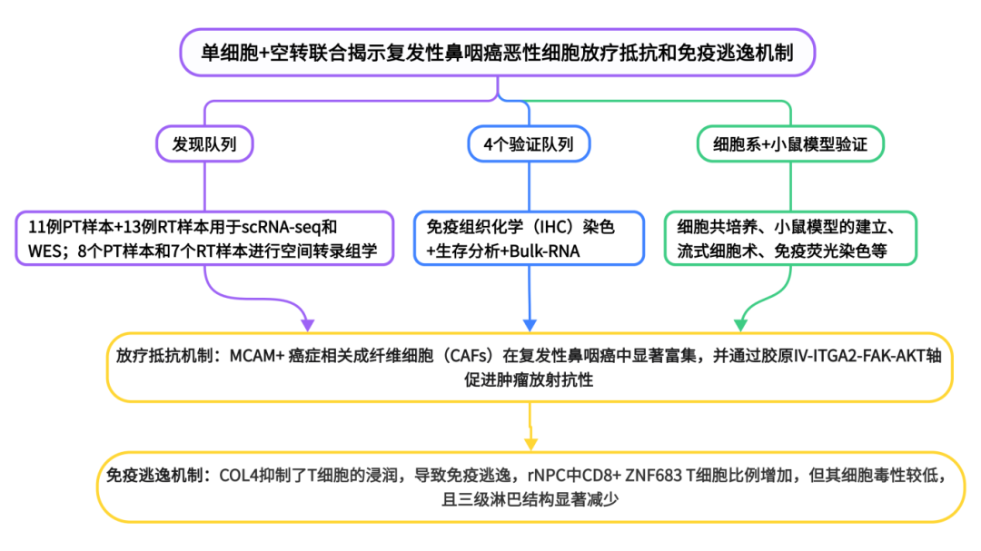 技术路线-429-2025-IF 29 Nature Genetics 人 鼻咽癌-李春继_00.png