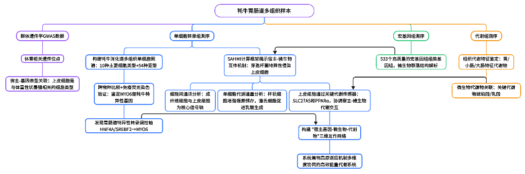 462-2025-IF 14.1 Advanced Science 牦牛-消化系统多组织-陈鑫.png 462-2025-IF 14.1 Advanced Science 牦牛-消化系统多组织-陈鑫.png