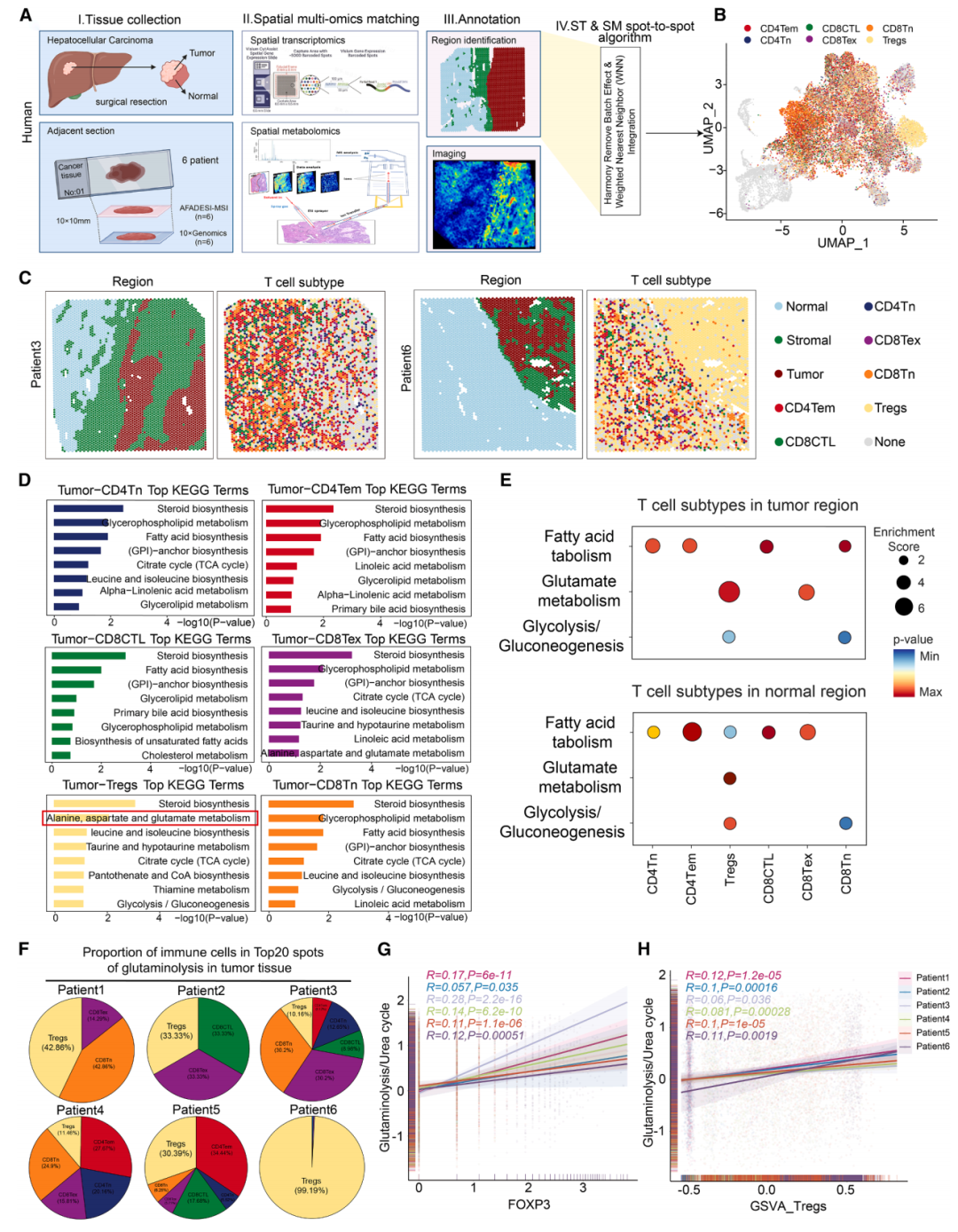 483-2025-IF 42.5 Cell 人 肝脏_02.png