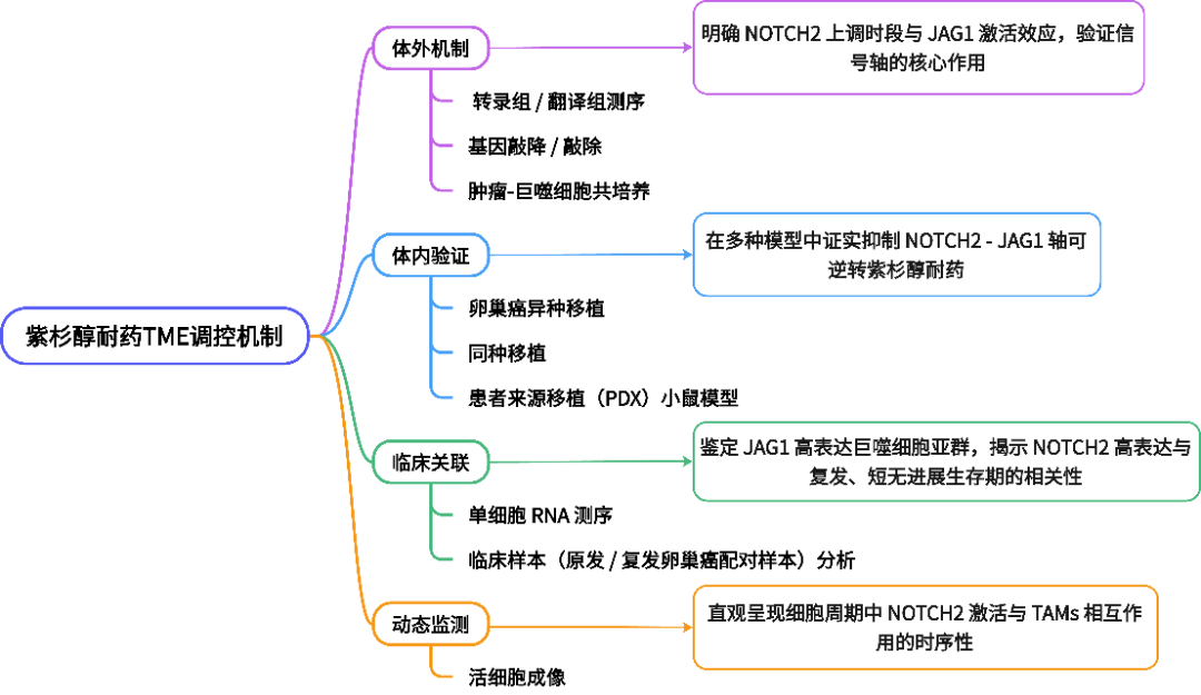 513-2026-IF 33.9 Molecular Cancer 小鼠 腹腔积液.png