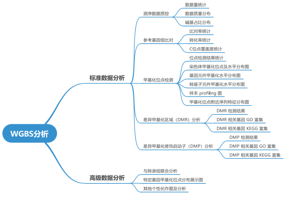 产品介绍
