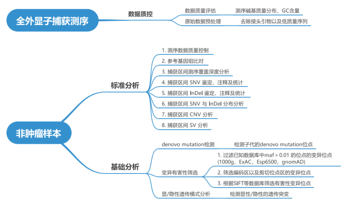 产品介绍