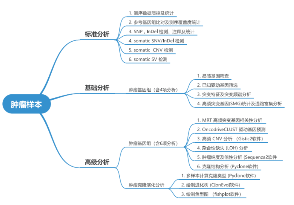 产品介绍