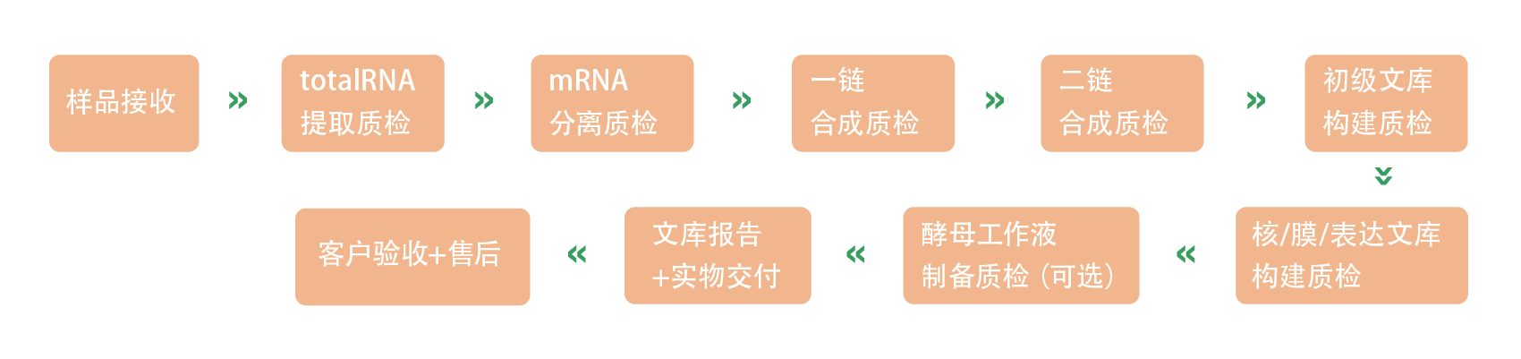 产品介绍