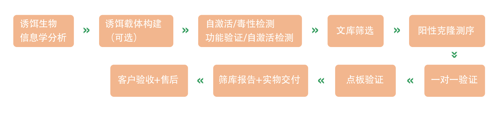 产品介绍