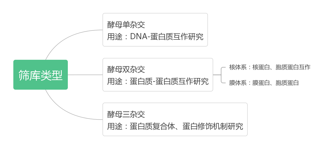 产品介绍