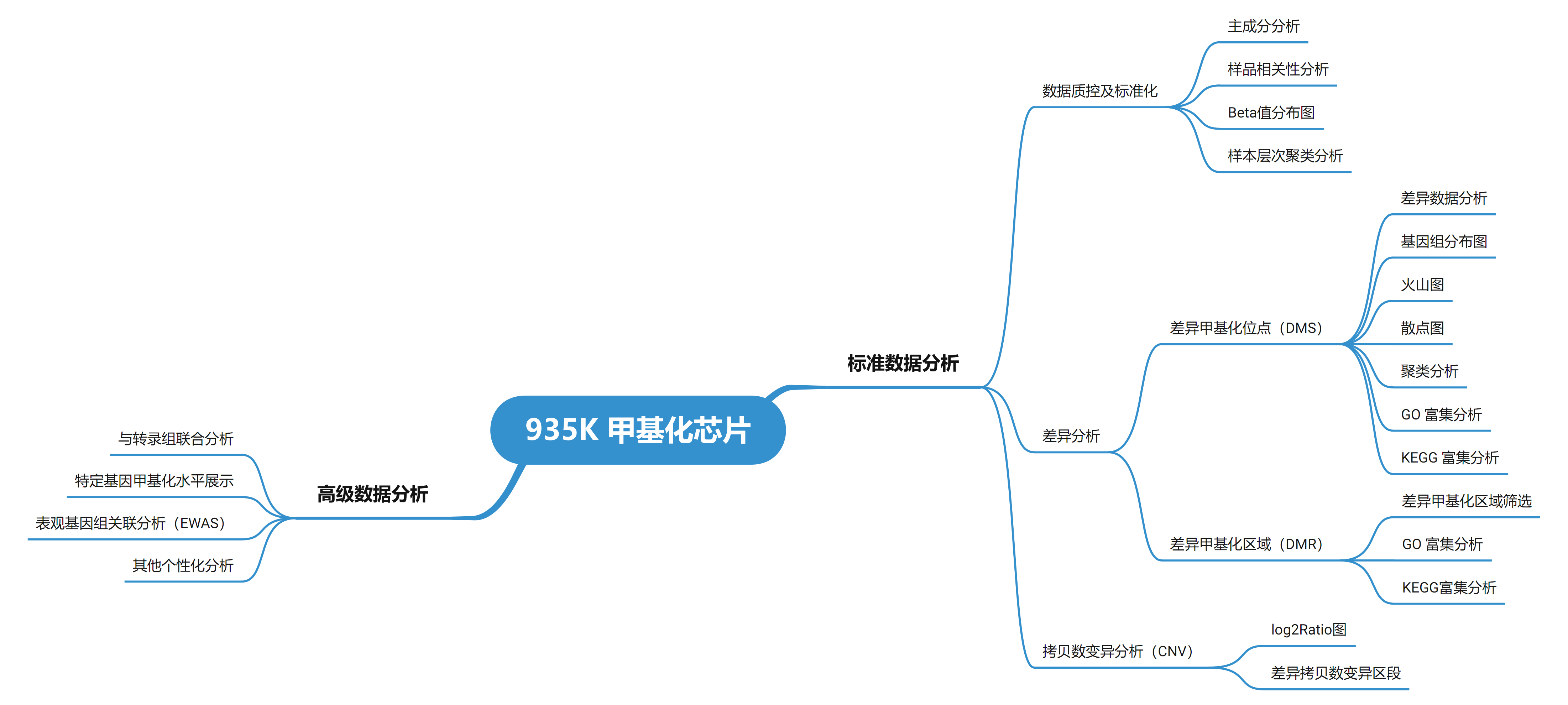 产品介绍