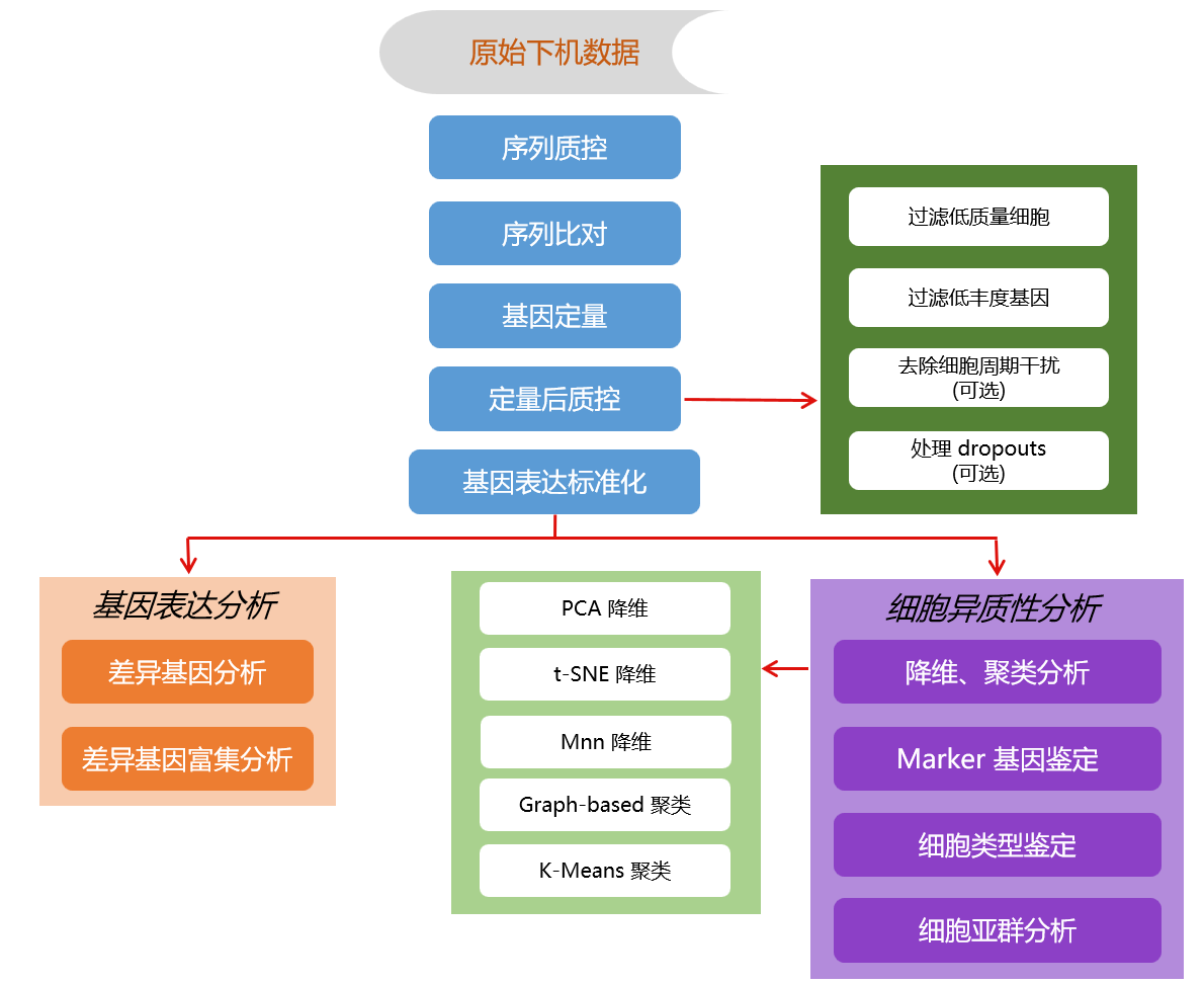 结果展示
