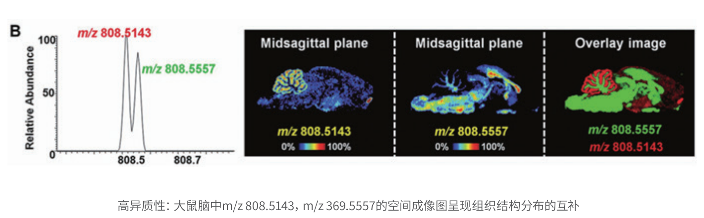 研究案例