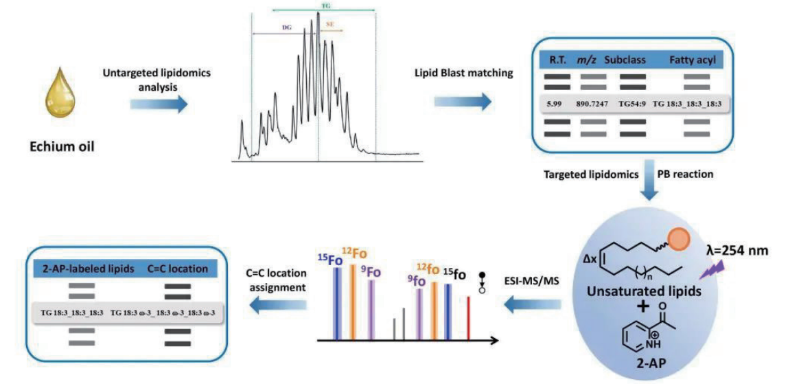 拟靶向脂质代谢组学