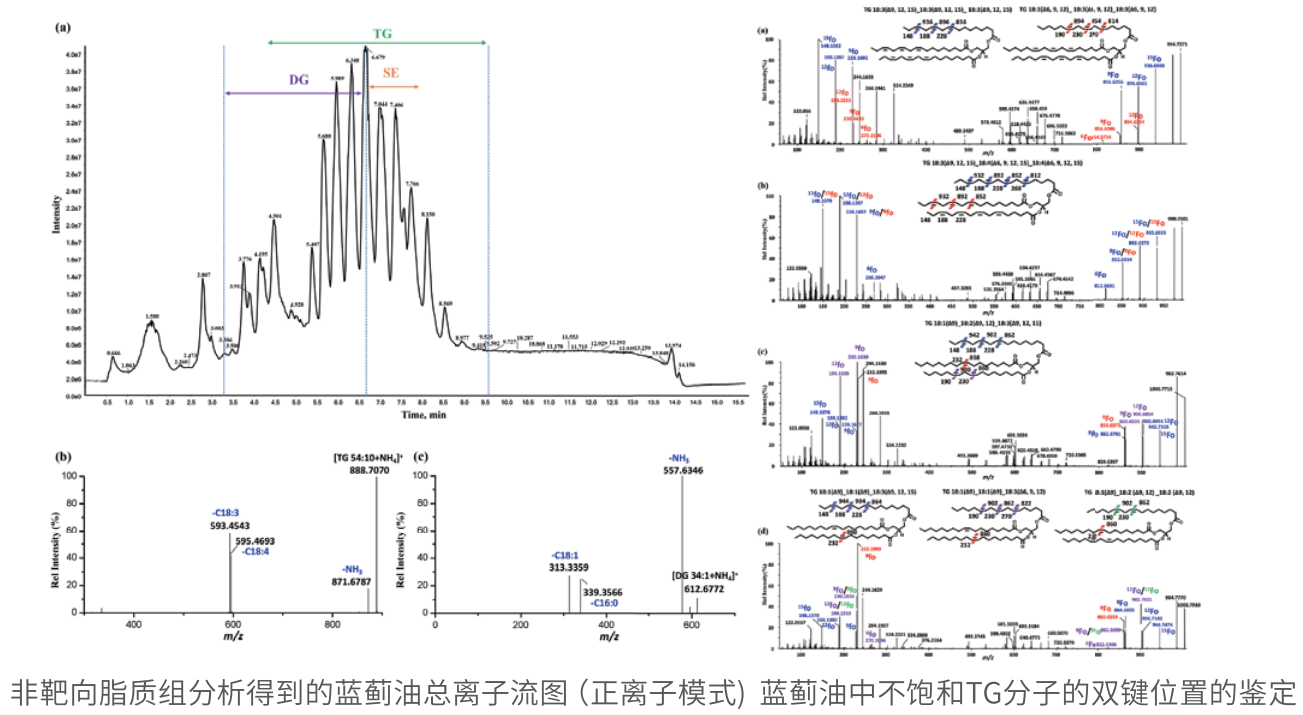 拟靶向脂质代谢组学