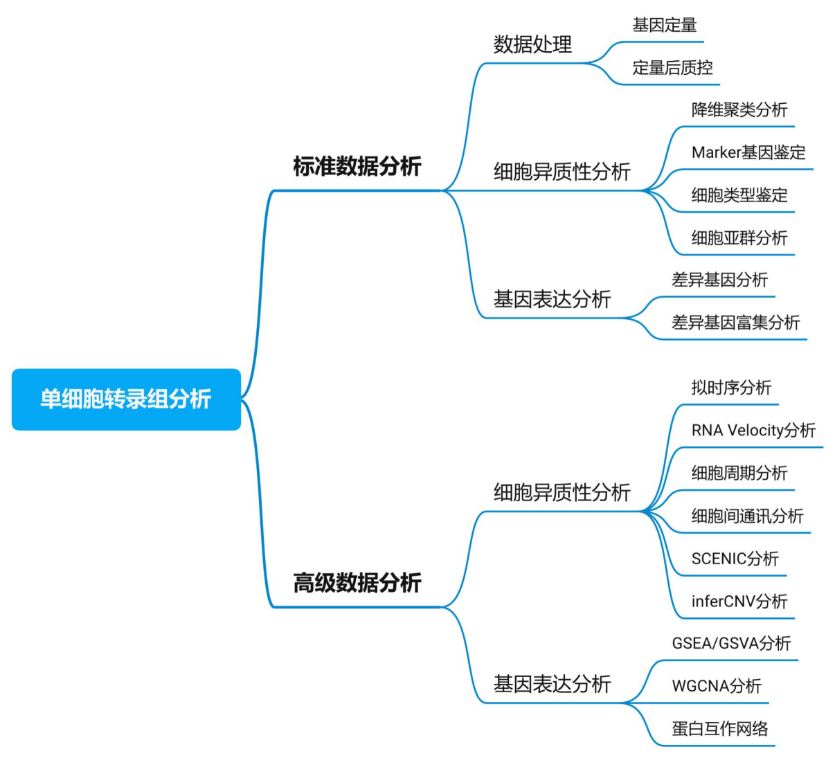 服务介绍