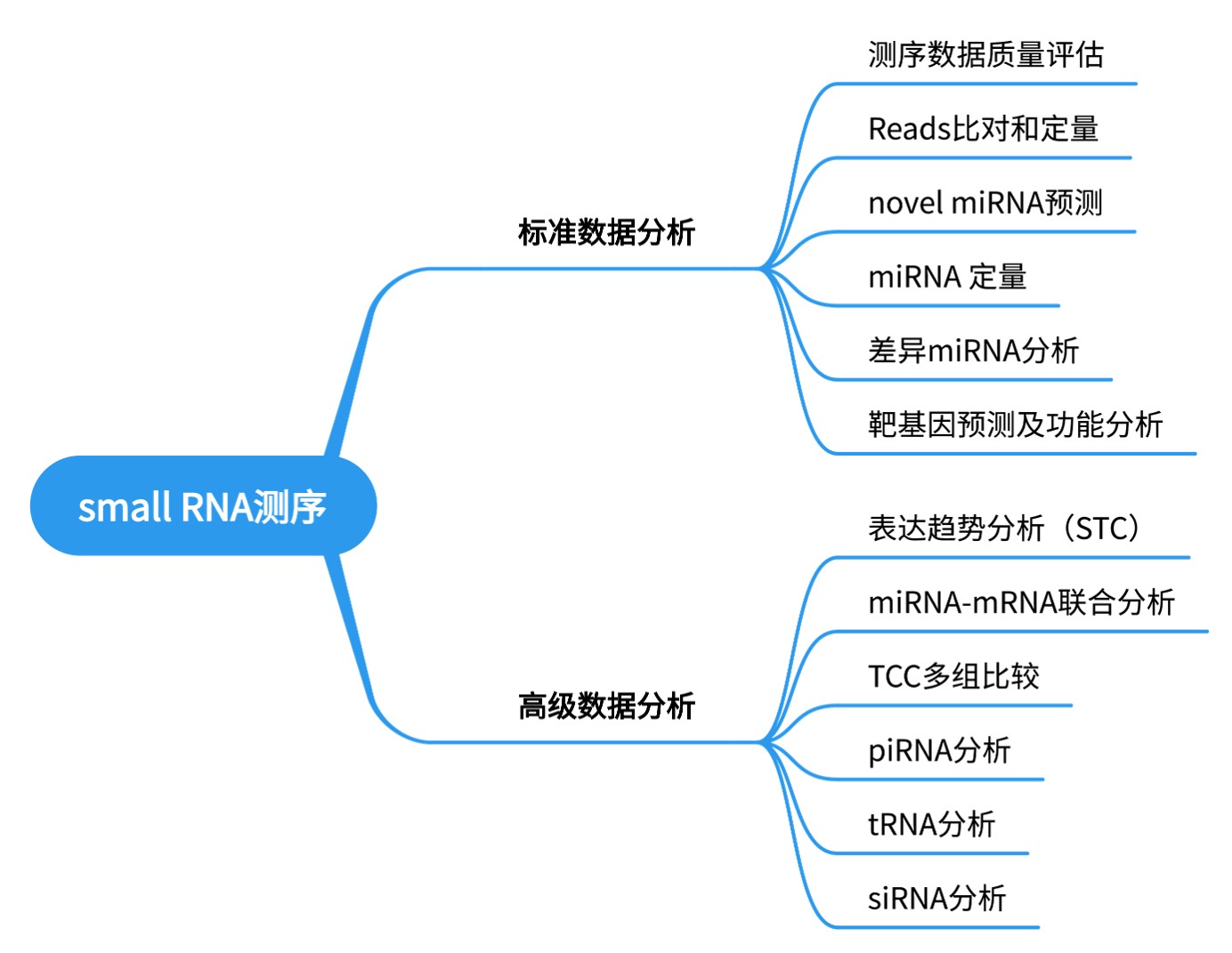 服务介绍