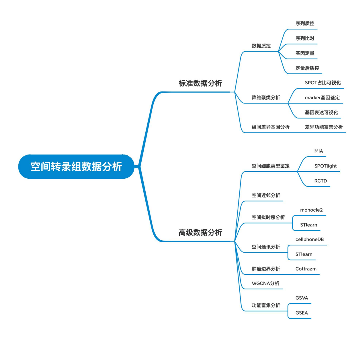 服务介绍