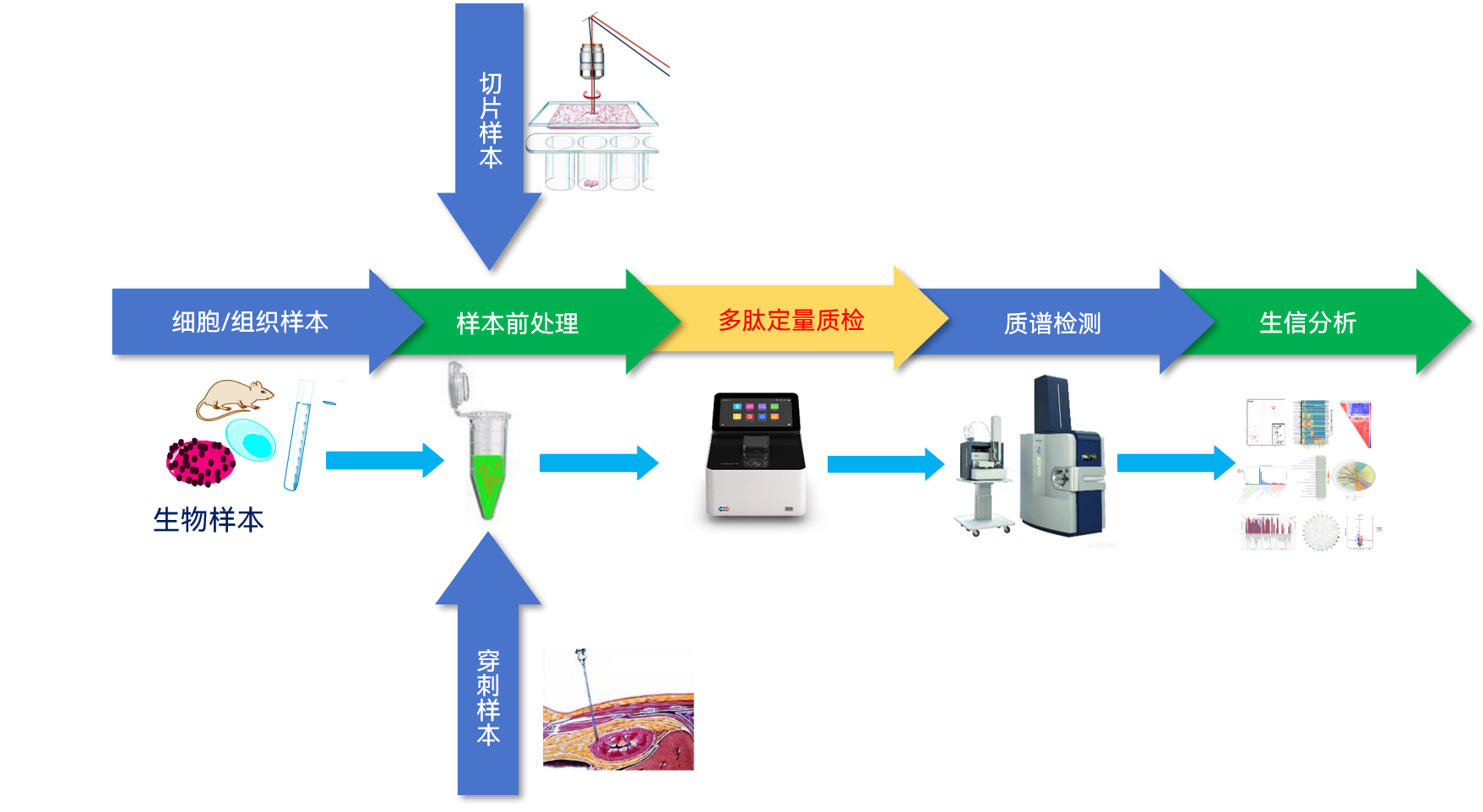 服务介绍