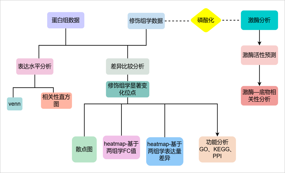 服务介绍