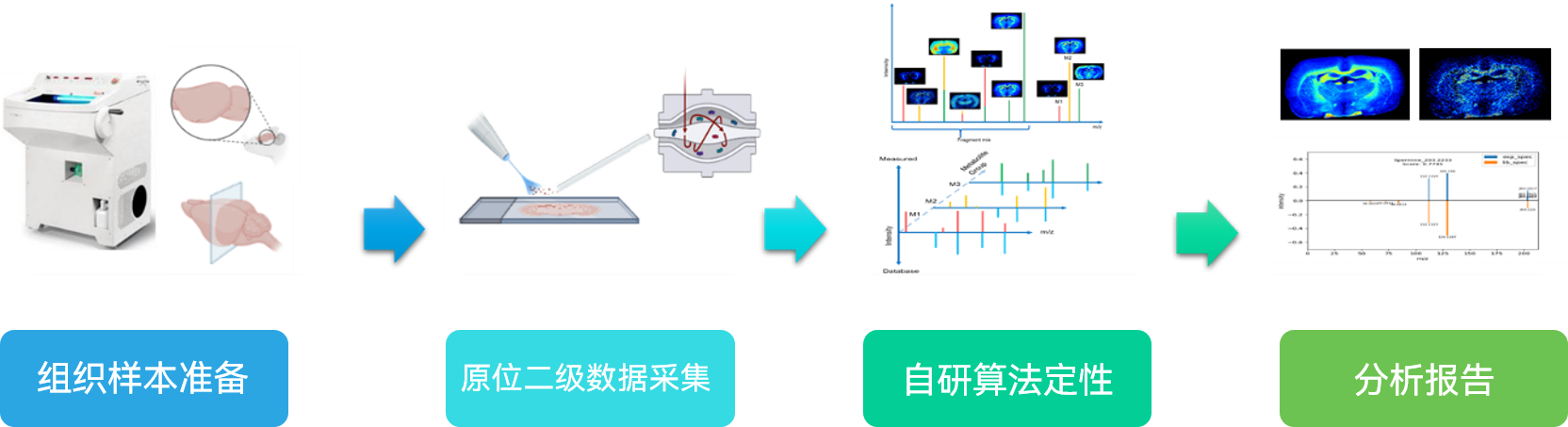 服务介绍