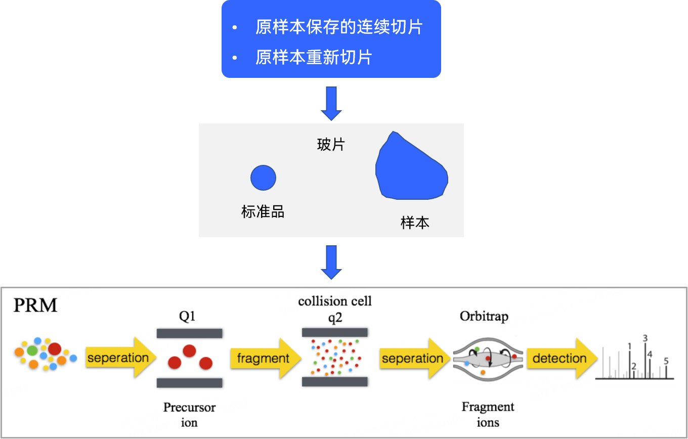 服务介绍