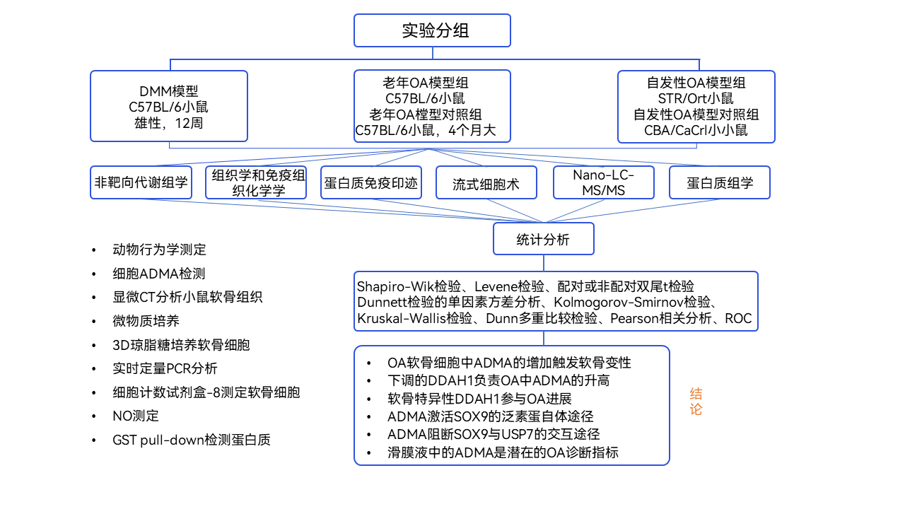 案例分享