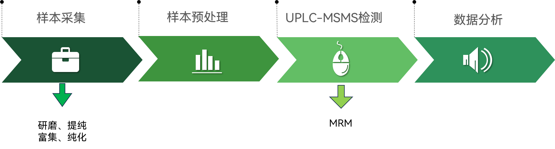 服务介绍