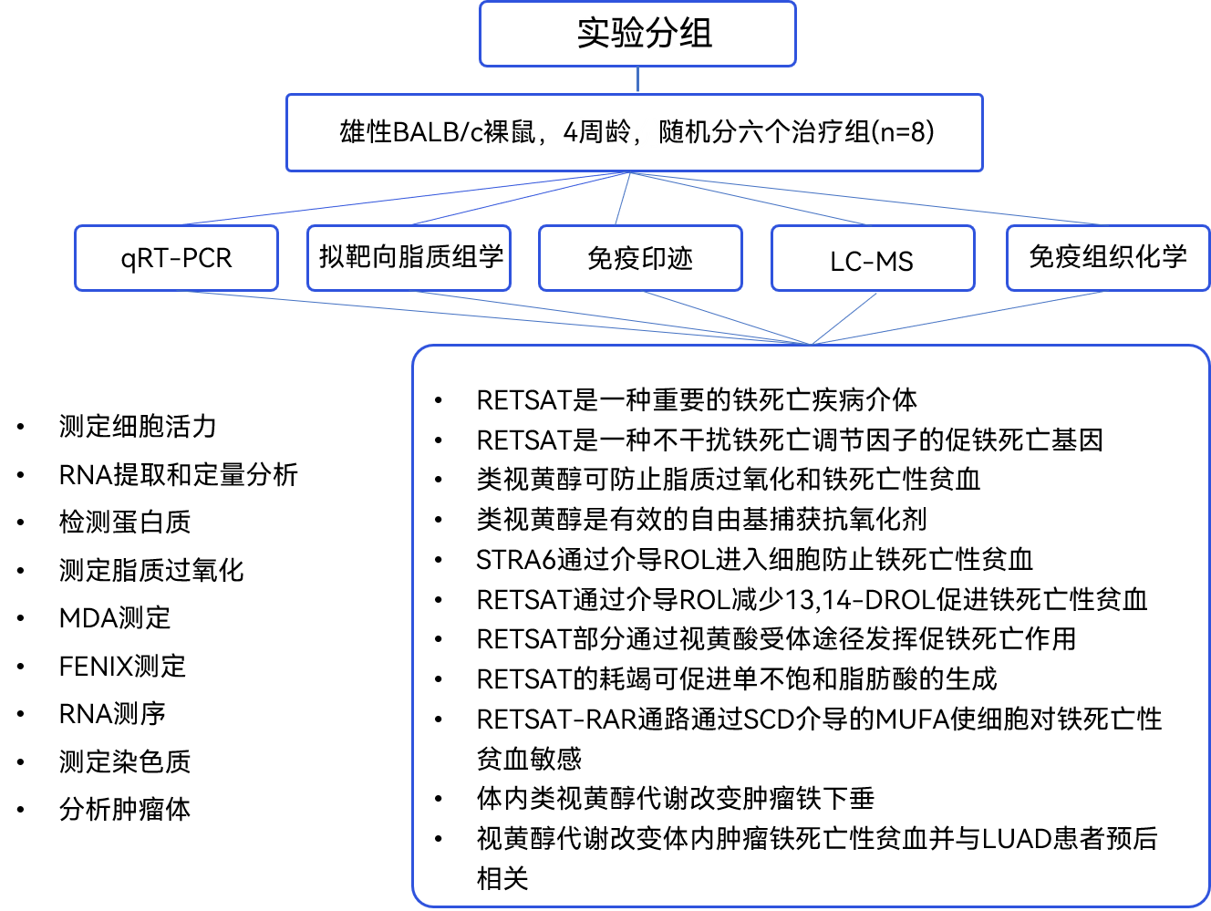 案例分享