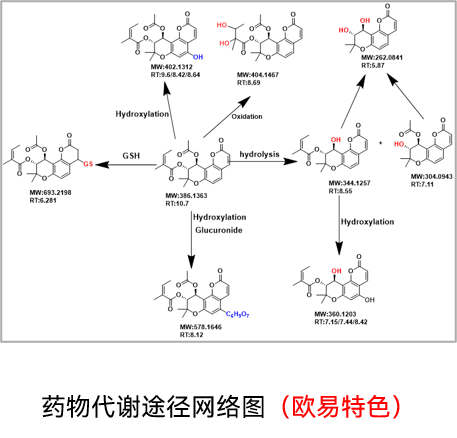 结果展示
