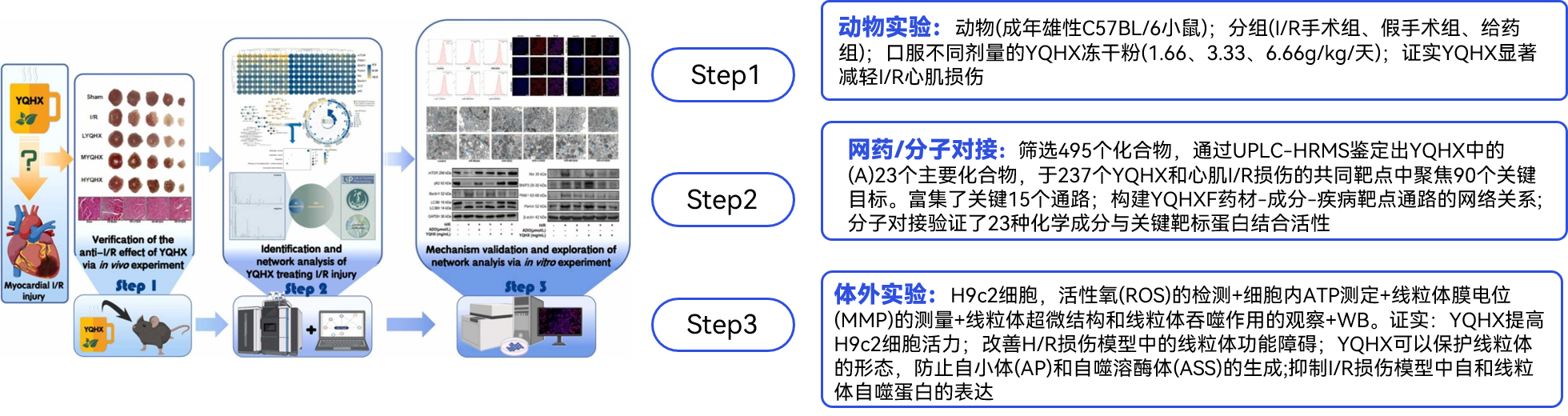 案例分享