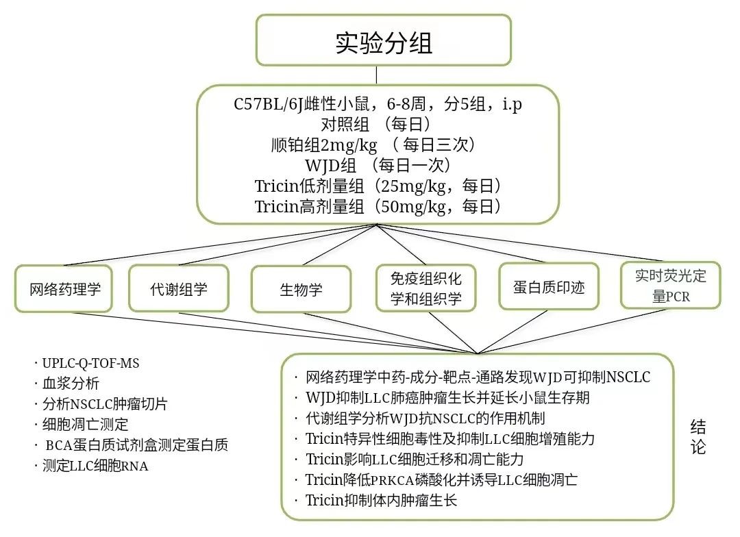 案例分享