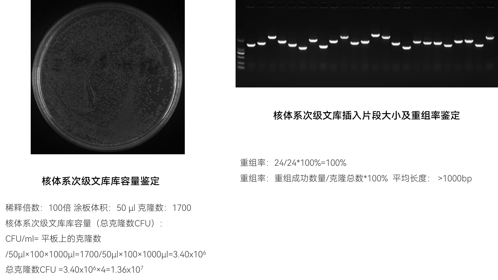 交付结果