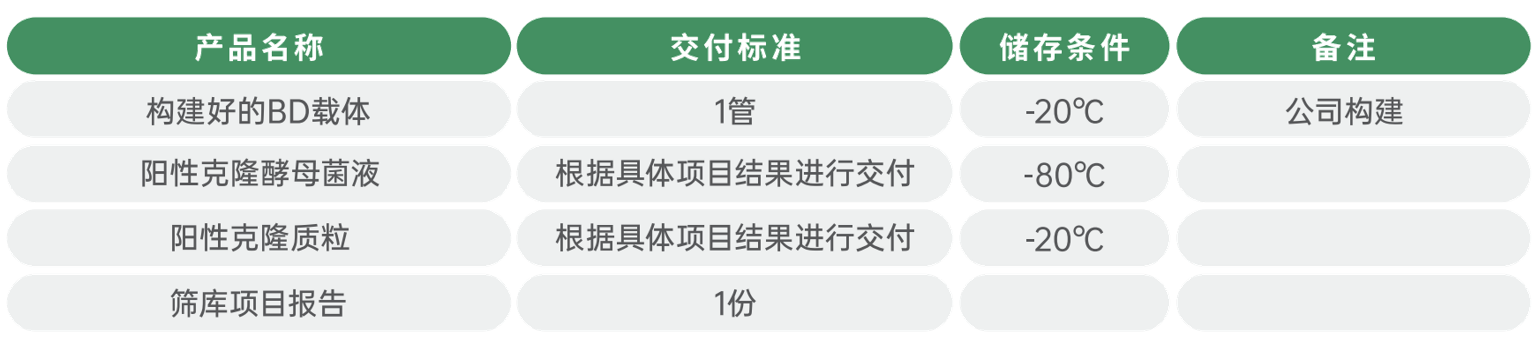 结果展示