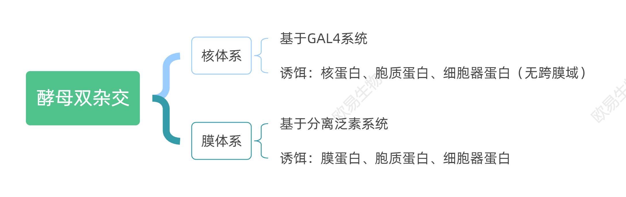 服务介绍