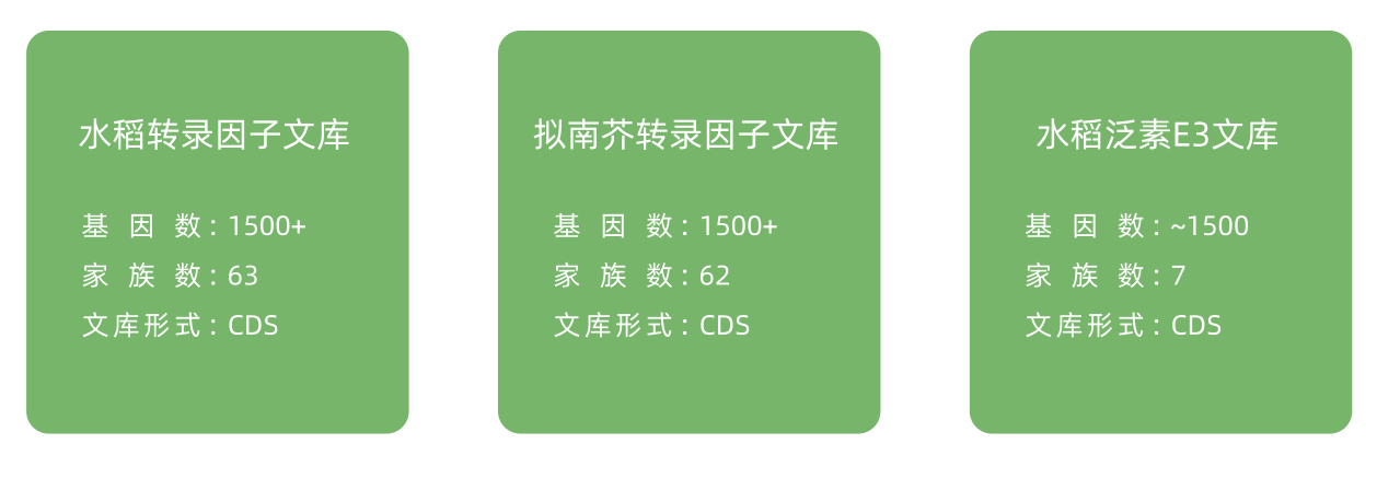 服务介绍