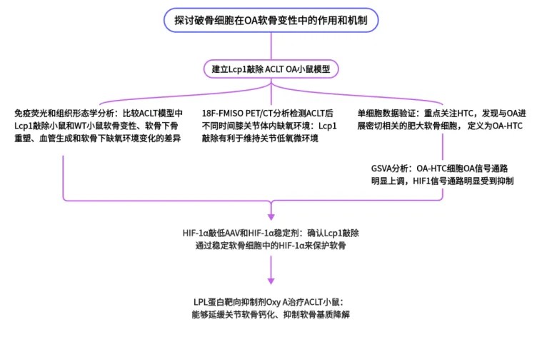 开学新技能Get | 单细胞高分发文思路拆解与实操还原，第5期时空多组学生信培训让你与众不同