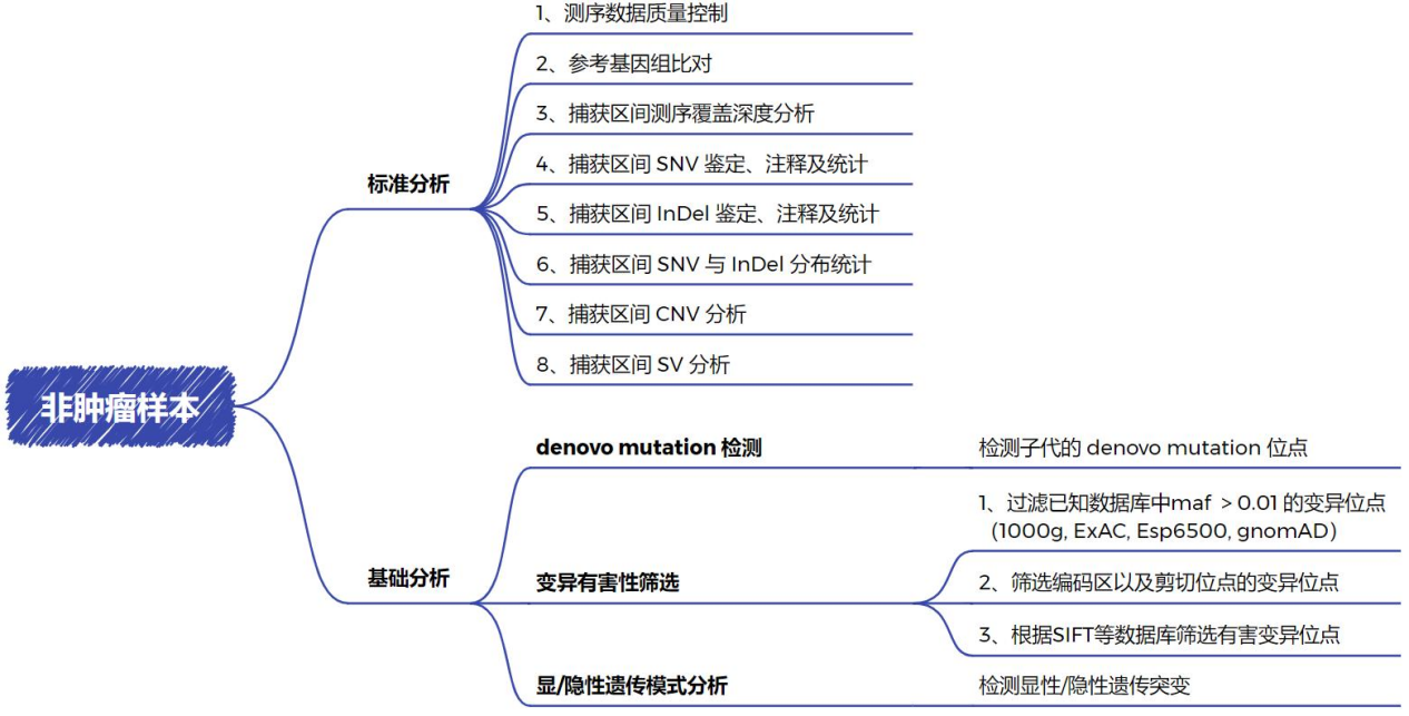 服务介绍