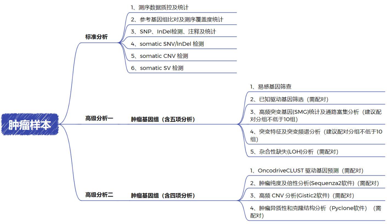 服务介绍