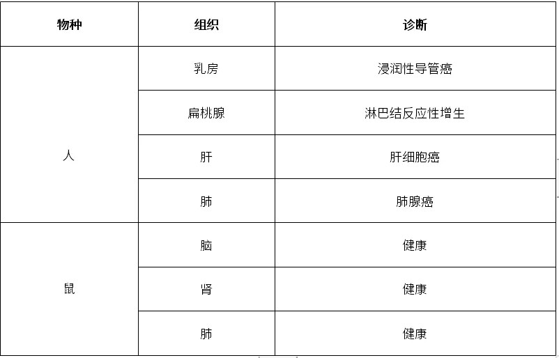 重磅 | 技术突破:10x Visium HD正式接受新鲜组织样本 重磅 | 技术突破:10x Visium HD正式接受新鲜组织样本