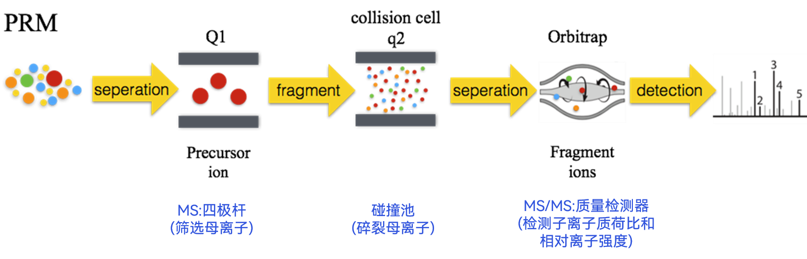 服务介绍
