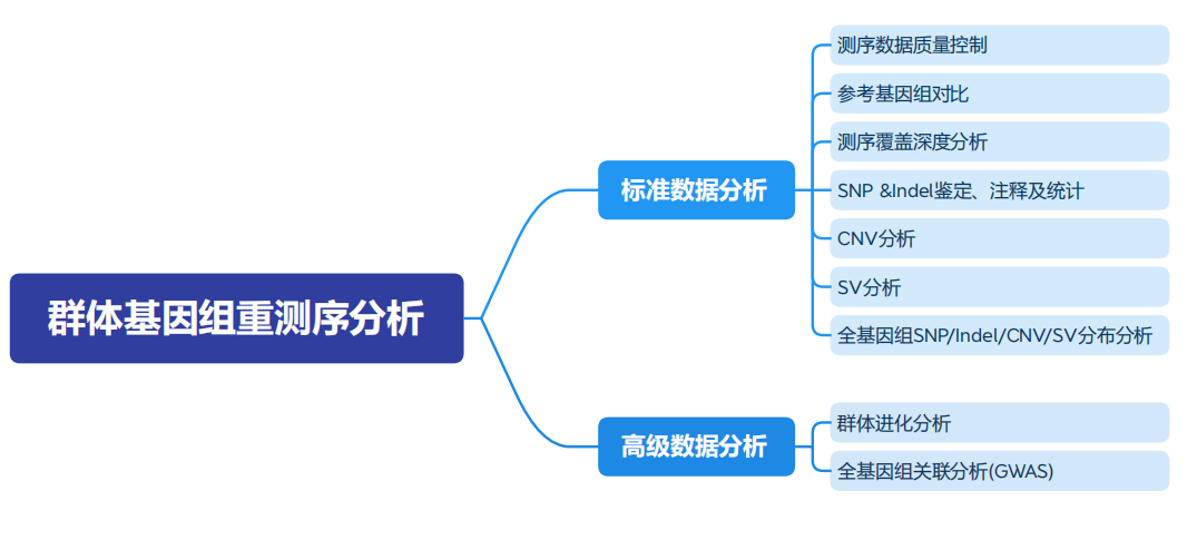 服务介绍