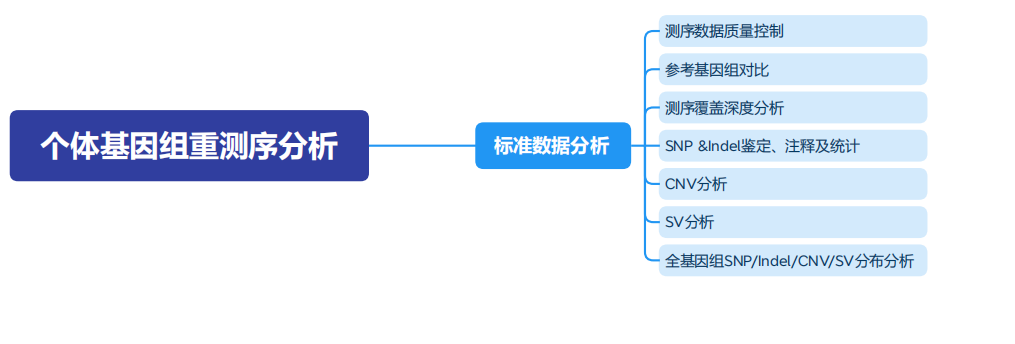 服务介绍