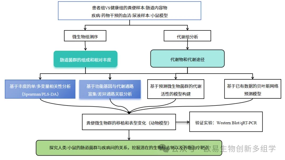 了不起的肠道菌群 | 探究微生物组+代谢组在肠道菌群研究中的应用 了不起的肠道菌群 | 探究微生物组+代谢组在肠道菌群研究中的应用
