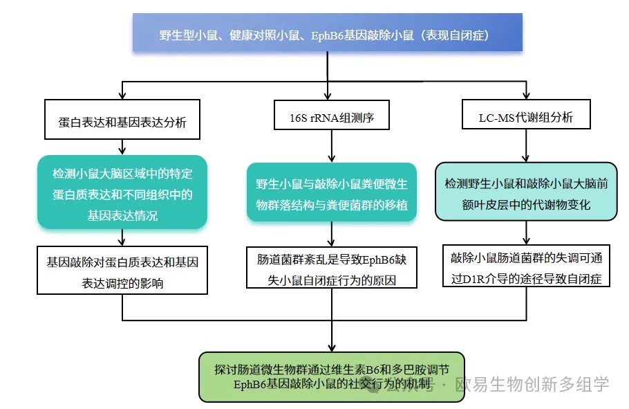 了不起的肠道菌群 | 探究微生物组+代谢组在肠道菌群研究中的应用 了不起的肠道菌群 | 探究微生物组+代谢组在肠道菌群研究中的应用