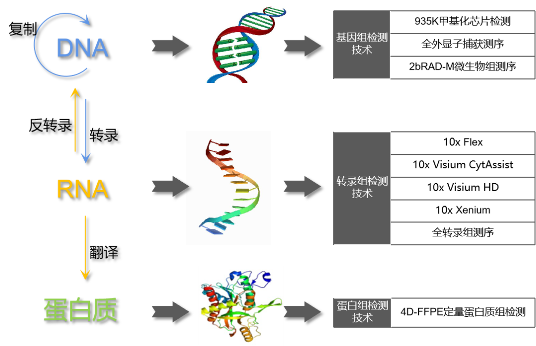 9种组学技术全面解码FFPE石蜡样本 9种组学技术全面解码FFPE石蜡样本