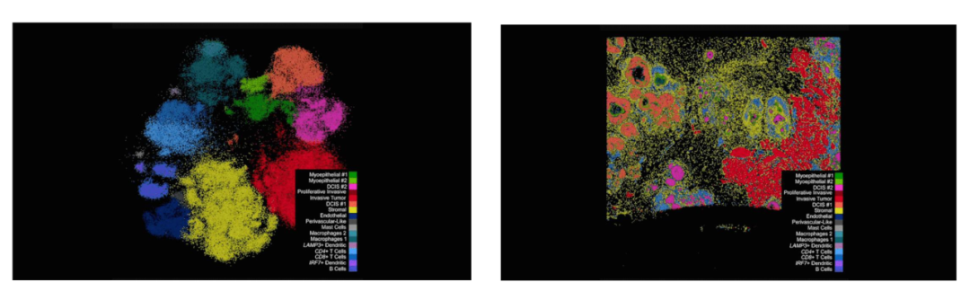 9种组学技术全面解码FFPE石蜡样本 9种组学技术全面解码FFPE石蜡样本