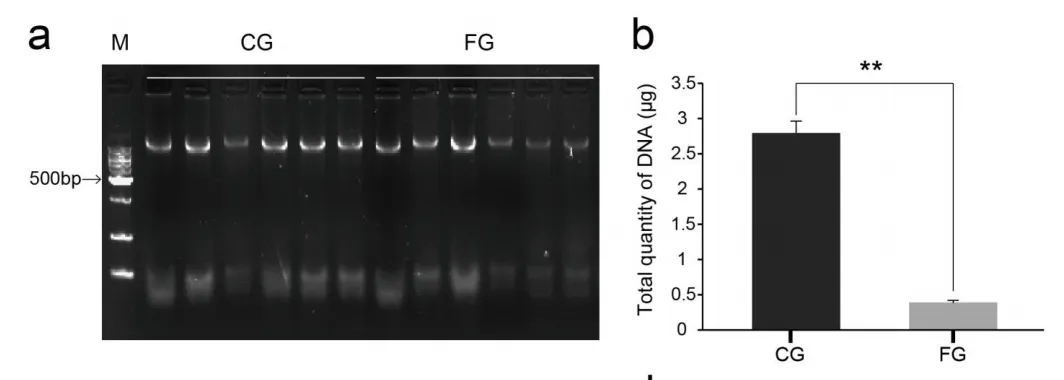 宿主-微生物互作研究—holo-2bRAD开启共生体基因组研究的大门 宿主-微生物互作研究—holo-2bRAD开启共生体基因组研究的大门