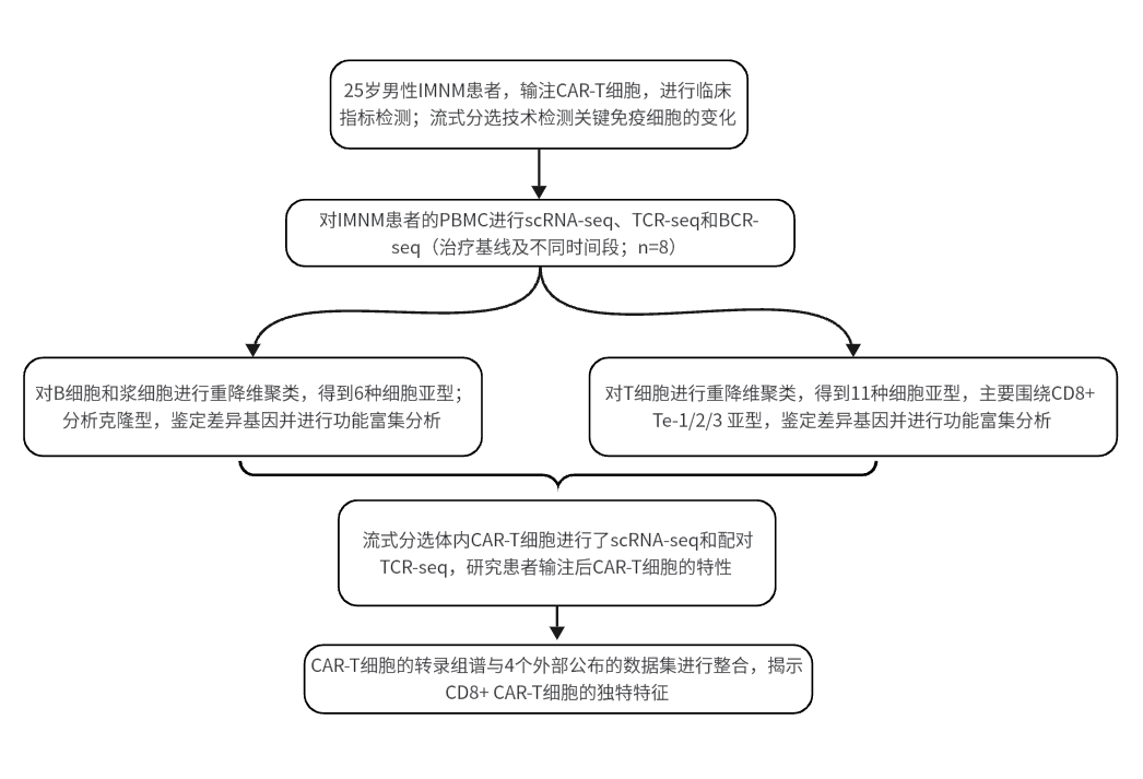 项目文章PNAS（IF 11.1）| 单细胞测序揭示CAR T细胞靶向自身免疫病的治疗新策略！