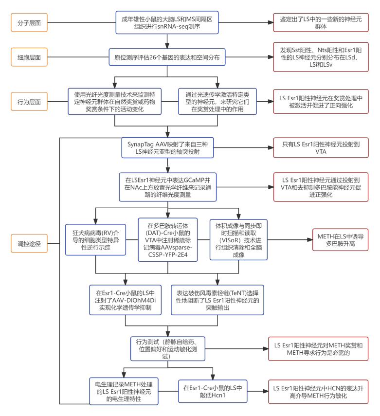 项目文章Neuron(IF14.7)| 朱英杰团队破解大脑调控奖赏和成瘾的关键机制 项目文章Neuron(IF14.7)| 朱英杰团队破解大脑调控奖赏和成瘾的关键机制